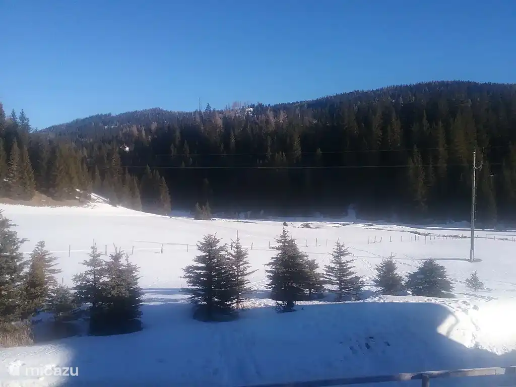 Rent Haus Mariet In Flattnitz Glodnitz Carinthia Micazu