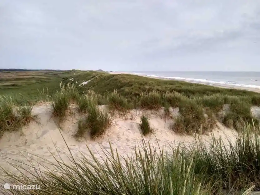 Plage de Sint Maartenszee