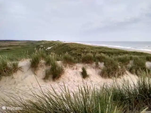 Het Vosgen | Pays-Bas, Hollande du Nord, St Maartensbrug - maison de vacances Plage de Sint Maartenszee