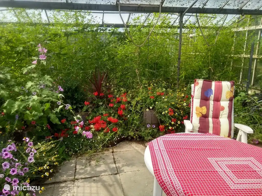 Un bel endroit pour s'asseoir par temps moins clément.