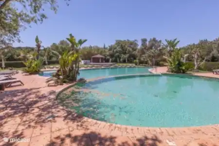 Beaux jardins, parcours de golf par 3, 4 courts de tennis, 6 piscines, 1 piscine intérieure, fitness