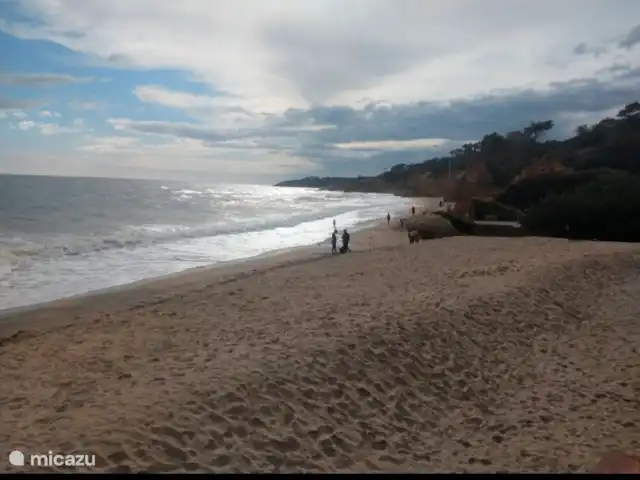 Location de Vacances Portugal, Algarve, Albufeira, appartement - Appartement luxueux sur un complexe de golf Plage de Maria Luisa (10 min à pied de l’appartement)