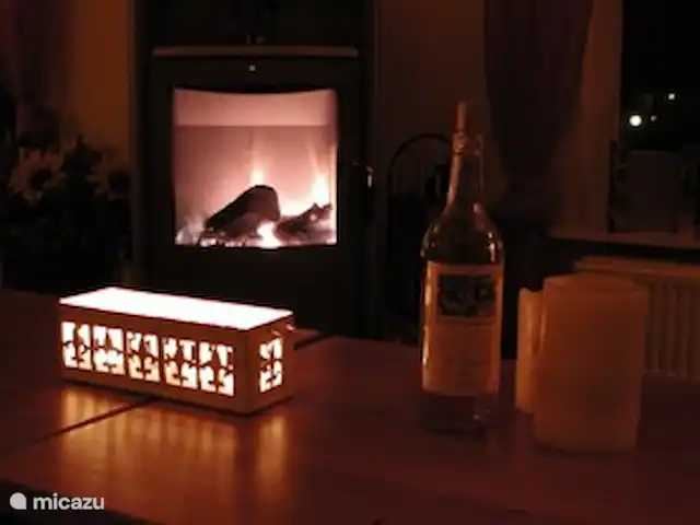 Nid de Robin | Pays-Bas, Gueldre, Groesbeek - maison de vacances Poêle à bois