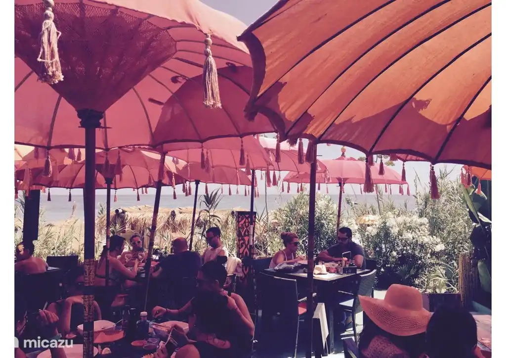 Genießen Sie ein köstliches Mittagessen in einer der gemütlichen Strandbars