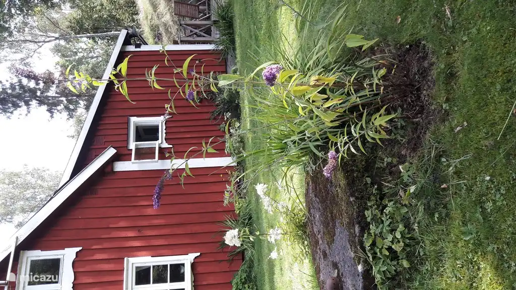 vår Vik in Schweden, Småland, Markaryd - Ferienhaus