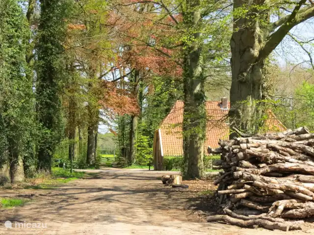 Ferme fantastique Zonneveld, 7p | Pays-Bas, Gueldre, Hengelo - maison de vacances Zonneveld