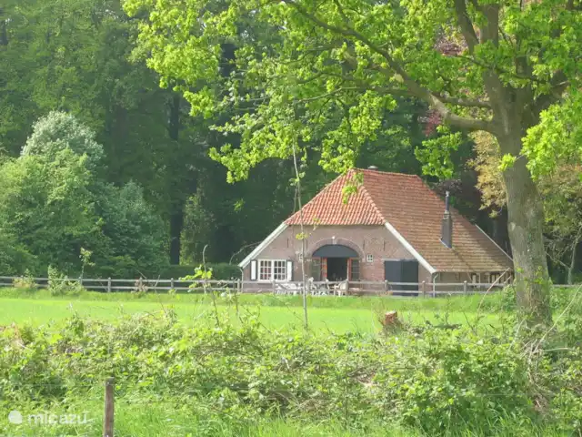Ferme fantastique Zonneveld, 7p | Pays-Bas, Gueldre, Hengelo - maison de vacances Vue dégagée dans le jardin