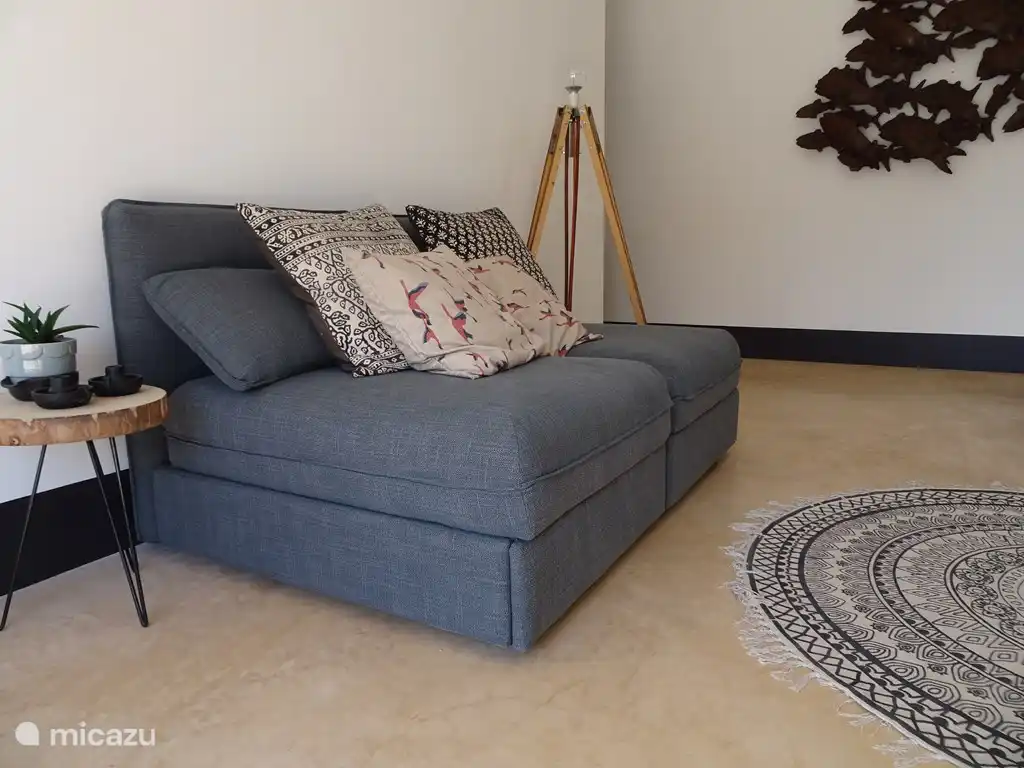 bedroom with pull-out beds