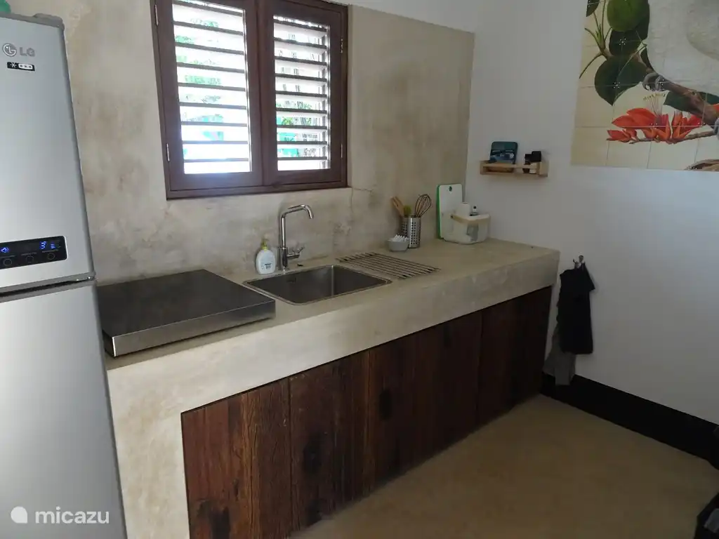 Kitchen with induction hob and fridge