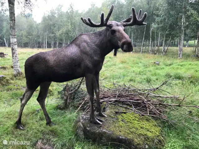 Ljusadal | Suède, Småland, Tingsryd - maison de vacances Elk park à 5 minutes