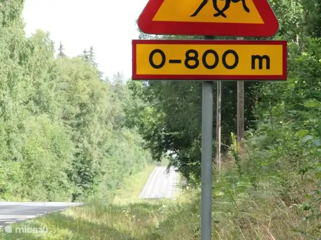 Ljusadal | Suède, Småland, Tingsryd - maison de vacances Attention à l'orignal