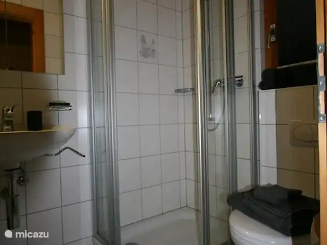 chalet huren in Zwitserland, Wallis, Fiesch – Chalet Valais Douchecabine