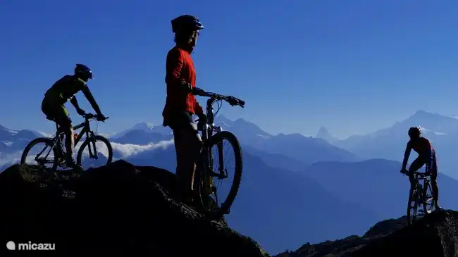 Pedaleando por el Aletsch Arena