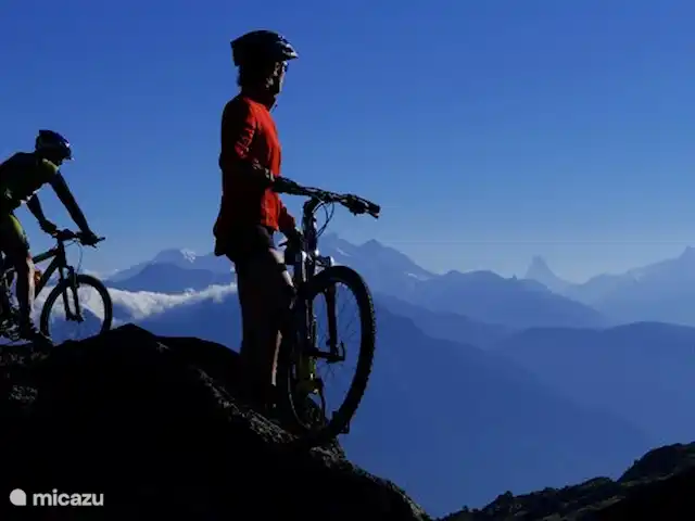 chalet huren in Zwitserland, Wallis, Fiesch – Chalet Valais Fietsen door de Aletsch Arena