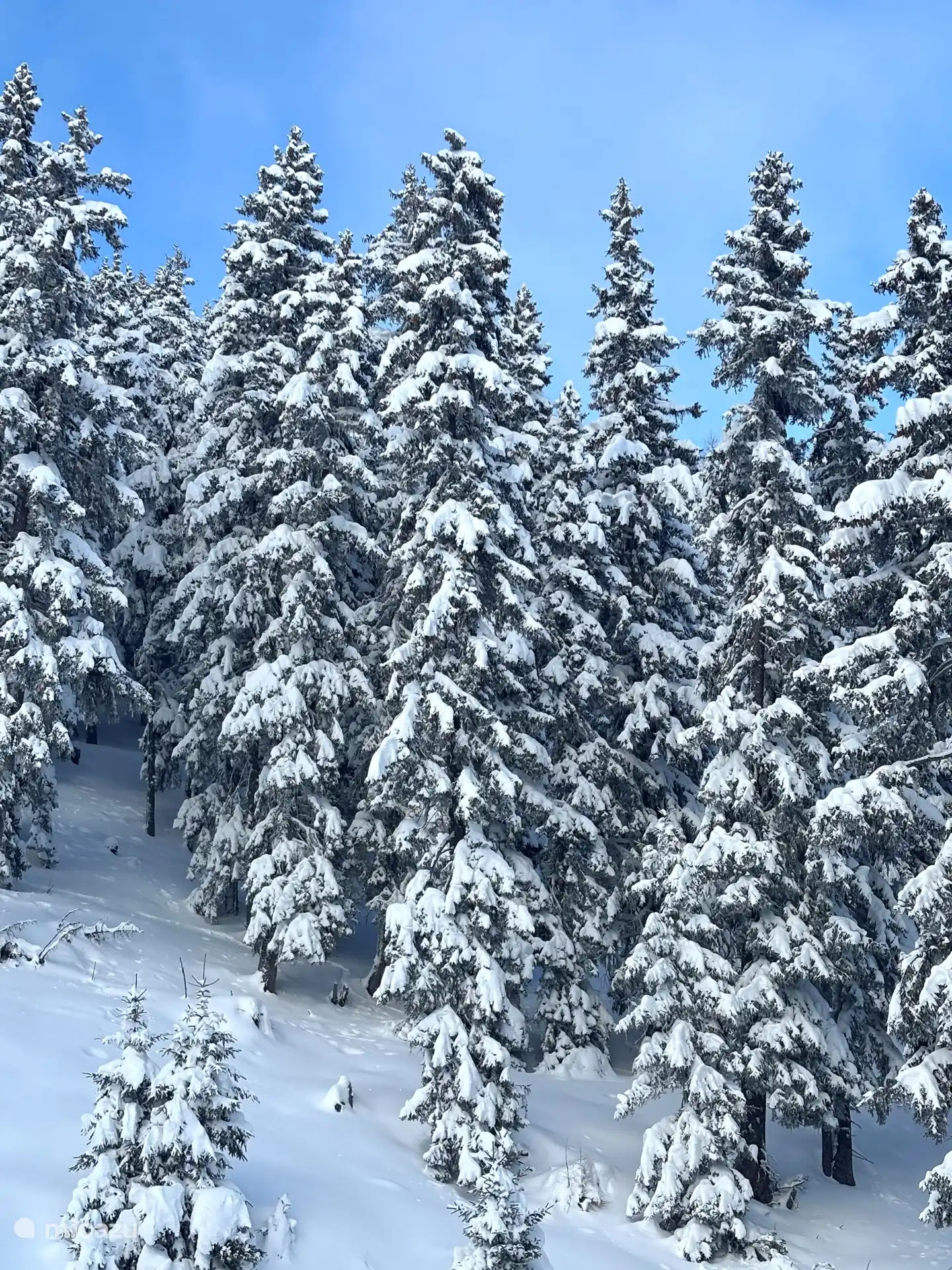 Ascensor hasta Fiescheralp