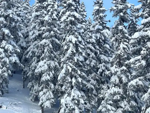 chalet huren in Zwitserland, Wallis, Fiesch – Chalet Valais Lift naar boven naar Fiescheralp