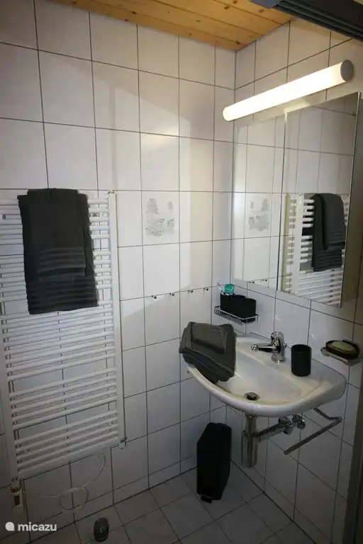 Cuarto de baño con ducha y WC.