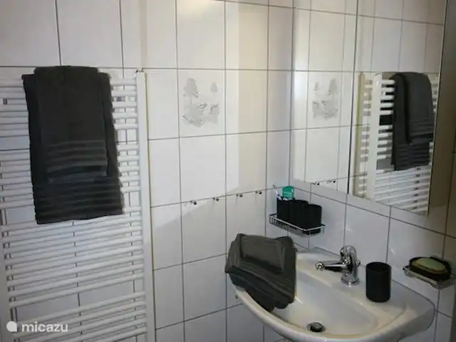 chalet huren in Zwitserland, Wallis, Fiesch – Chalet Valais Badkamer met douche en toilet.