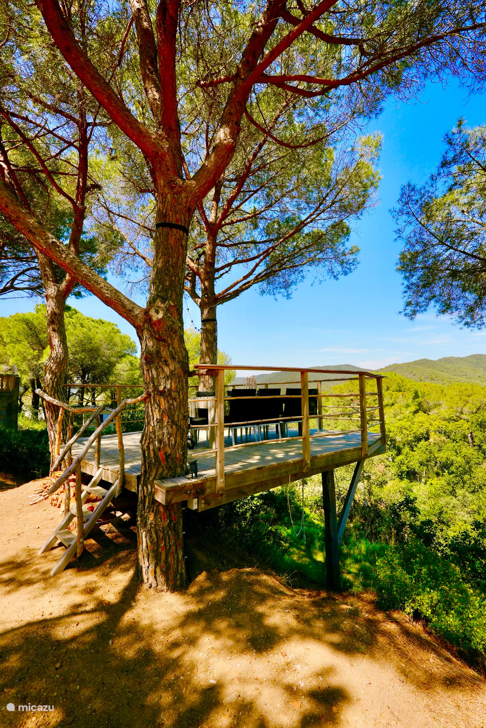 Uniek boomterras met hangmat
