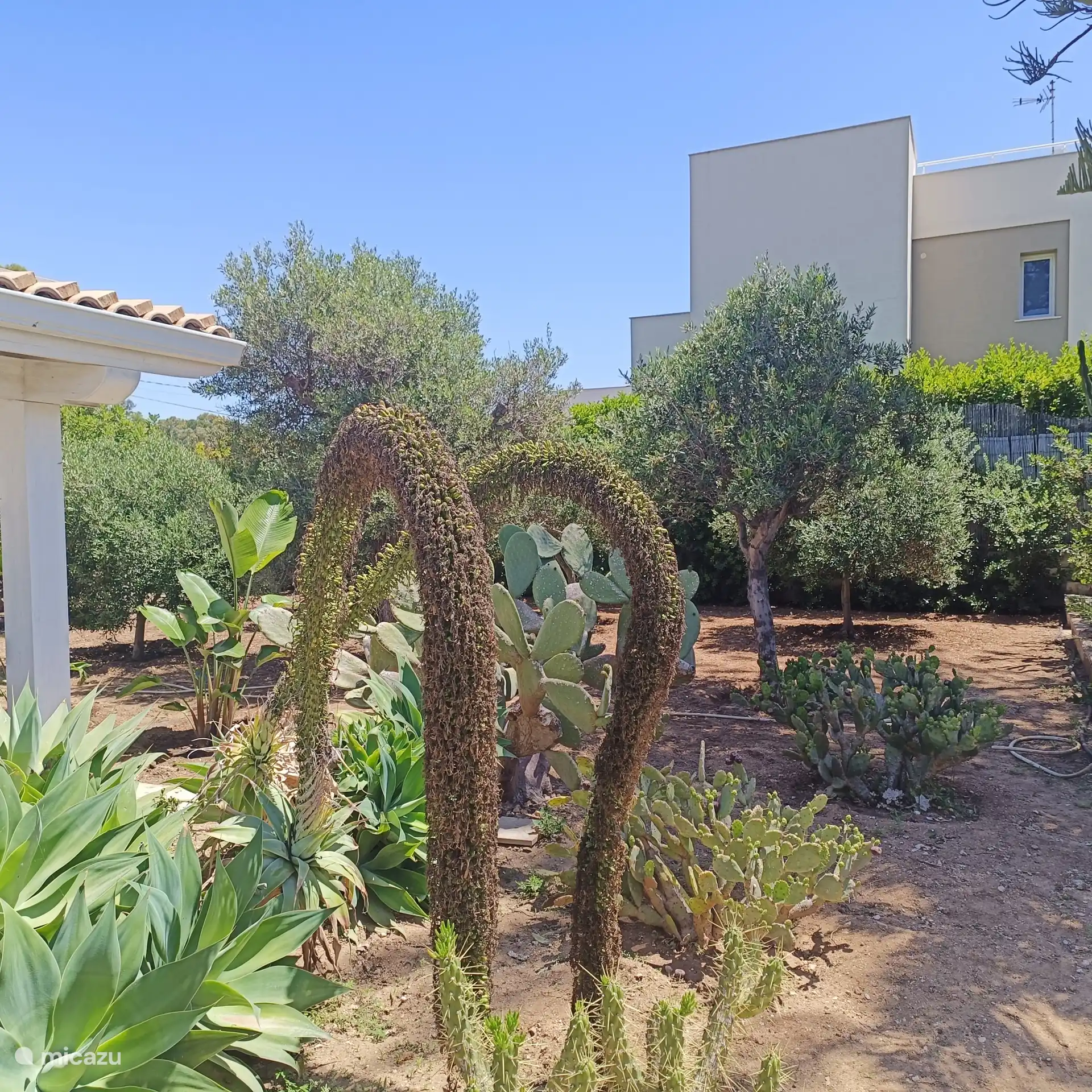 Die wundersamen Wendungen der Natur