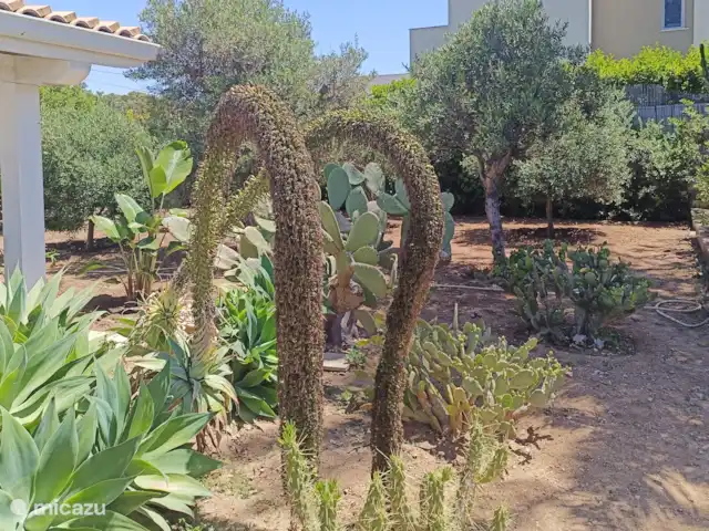 Villa Stella Errans en Italia, Sicilia, Ispica - villa Los maravillosos giros de la naturaleza