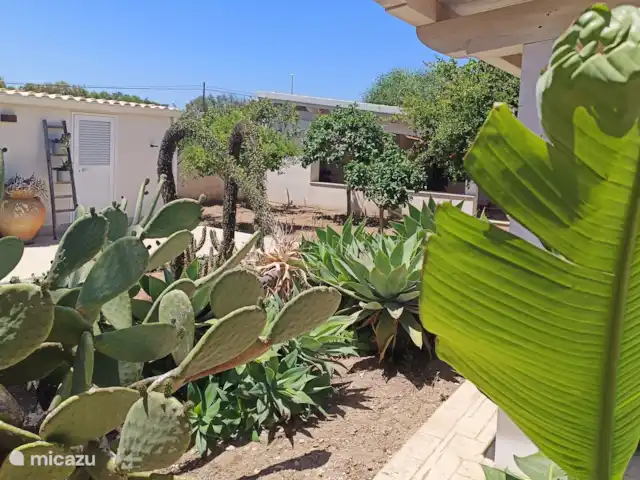 Villa Stella Errans en Italia, Sicilia, Ispica - villa Exuberante vegetación