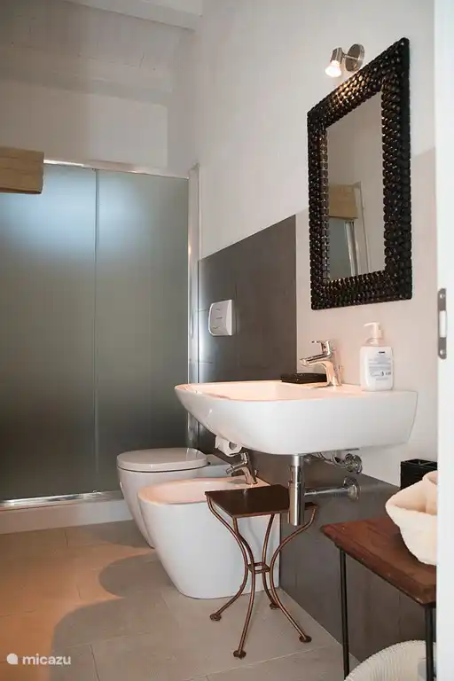 Badezimmer im Haus. Badezimmer mit Waschbecken, Bidet und großer douce