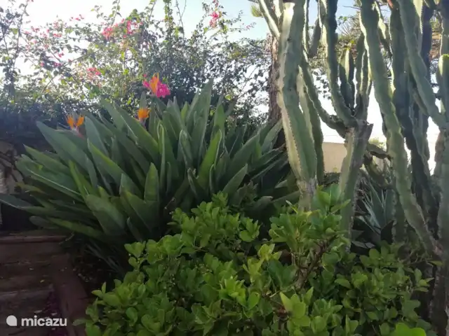 Villa Stella Errans en Italia, Sicilia, Ispica - villa naturaleza pura ....