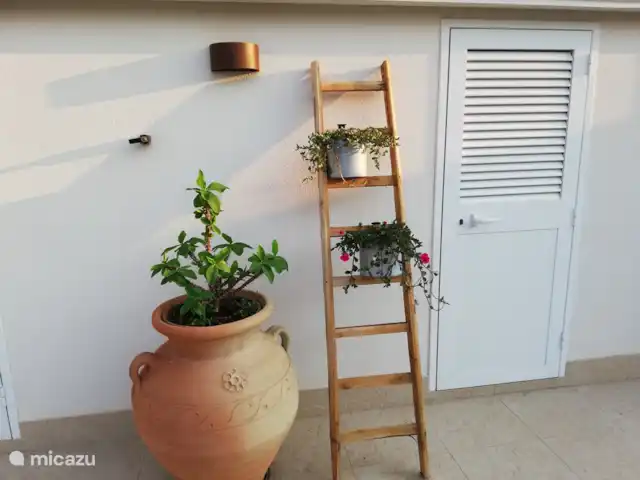 Villa Stella Errans en Italia, Sicilia, Ispica - villa rincón en el jardín