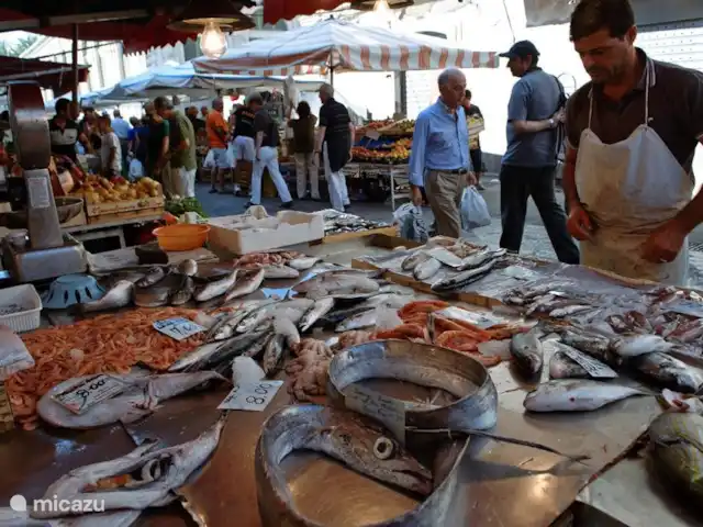 Villa Stella Errans en Italia, Sicilia, Ispica - villa Mercado de Siracusa. Una experiencia inolvidable: disfrutar de los bocadillos y delicias recién preparadas, desde mejillones frescos con una copa de vino blanco hasta galletas de almendra y bloques de chocolate, desde deliciosos cannoli's hasta los panino's más imaginativos. Y por supuesto pescado, pescado, pescado...