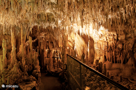 Stalactite cave with prehistoric rock drawings: 
