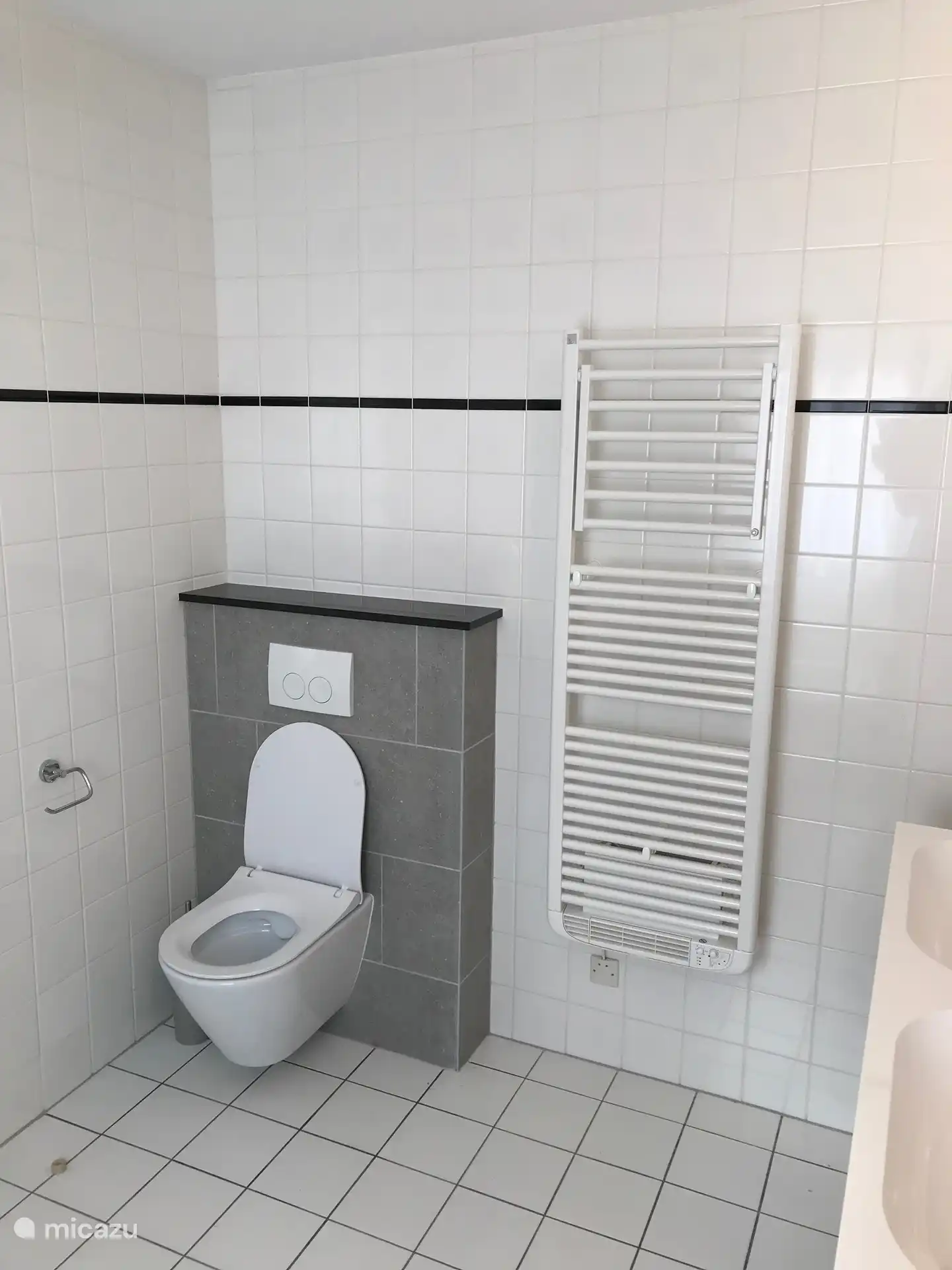 Toilettes dans la première salle de bain au rez-de-chaussée.