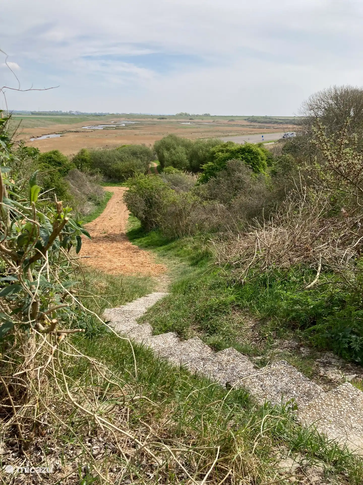 the driveway and stairs to the house