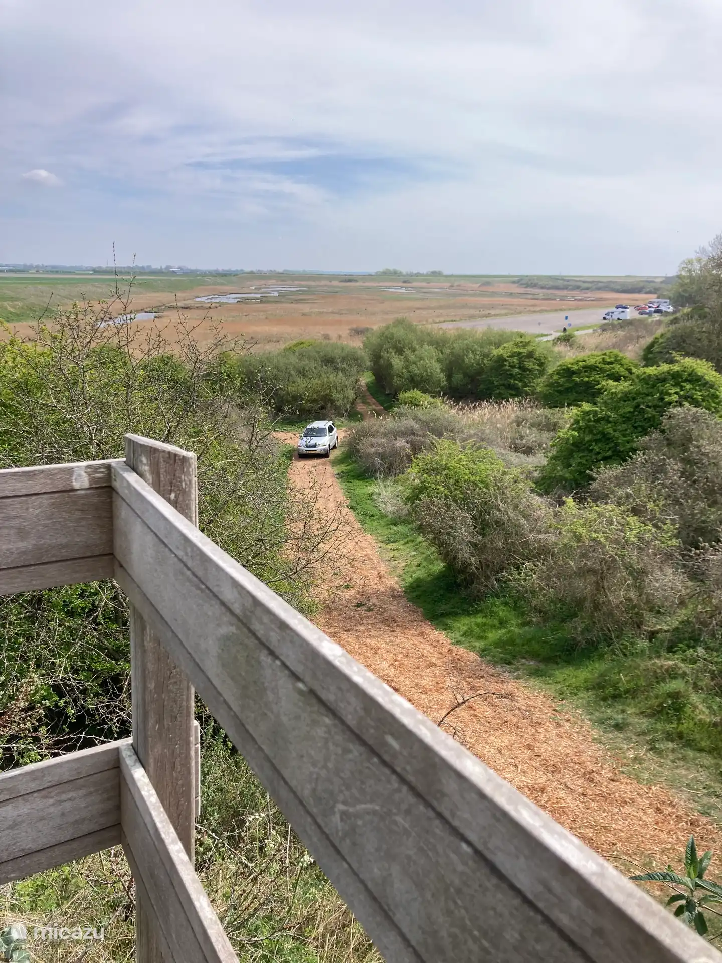 The wood-shredded driveway