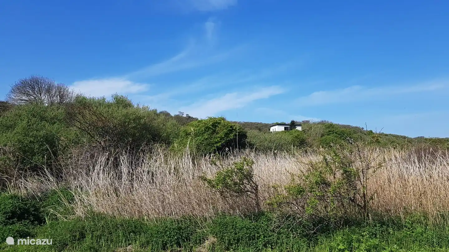 holiday house, Westenschouwen, Zeeland, Netherlands - Casela Nostra