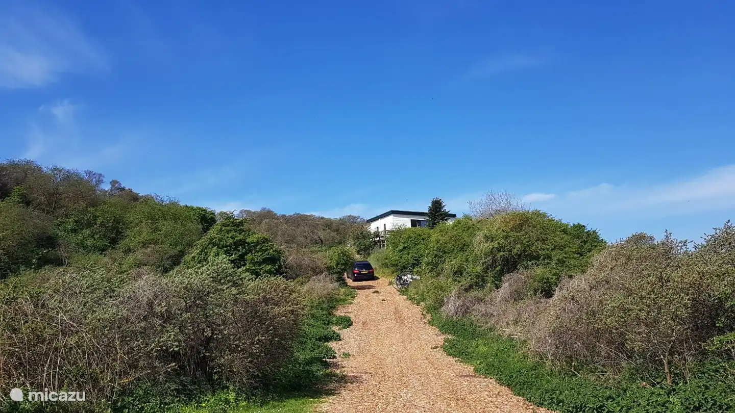The driveway to the cottage.