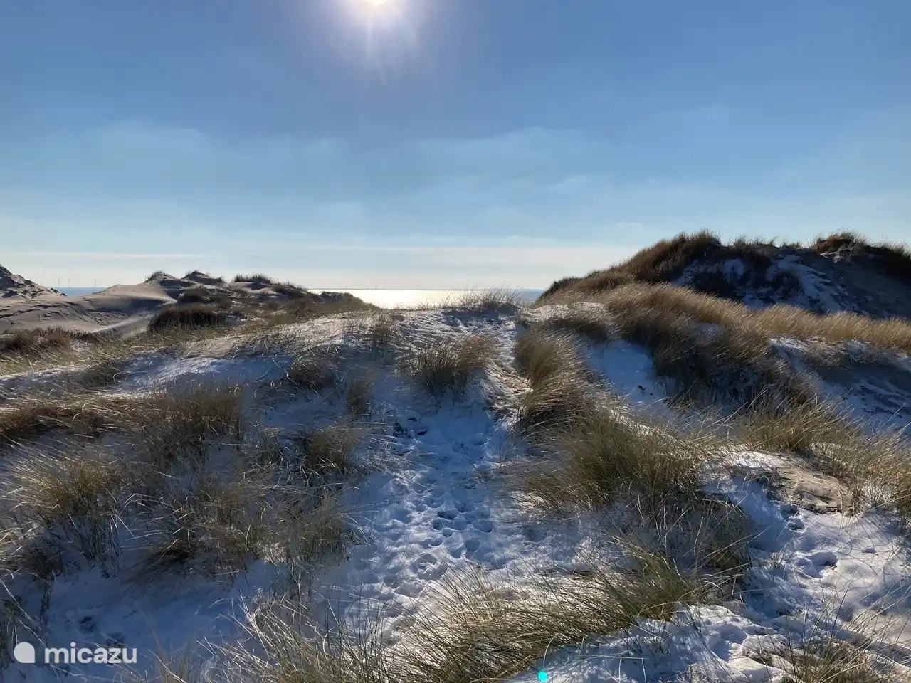 The dunes in winter