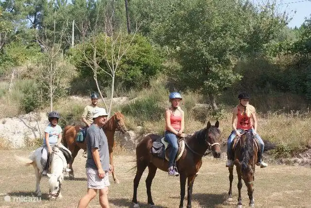 Paardrijden voor beginners én gevorderden. (extern)
