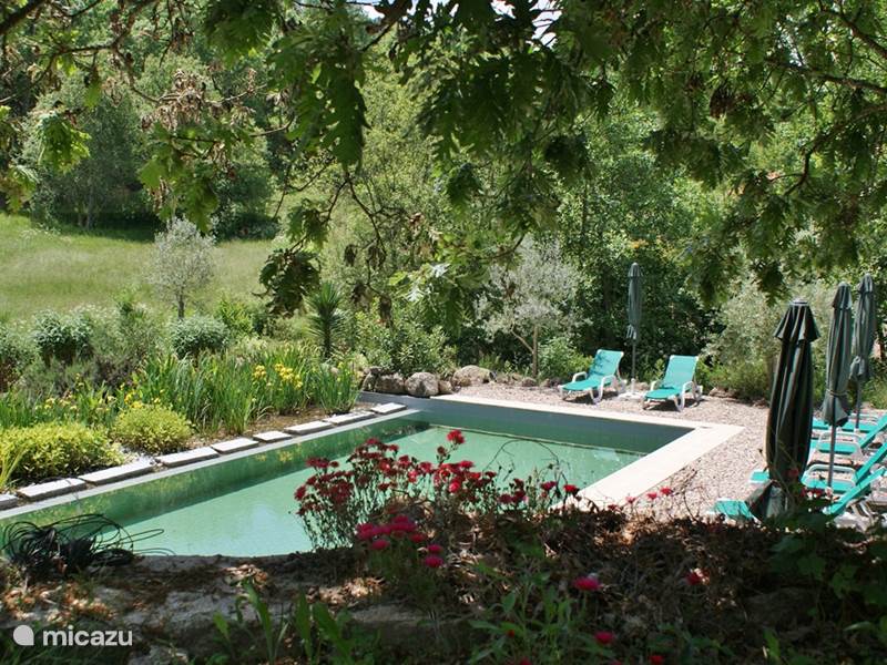 Maison de Vacances Portugal, Beiras, Covas Maison de vacances Casa Oliveirinha/Quinta do Retiro***