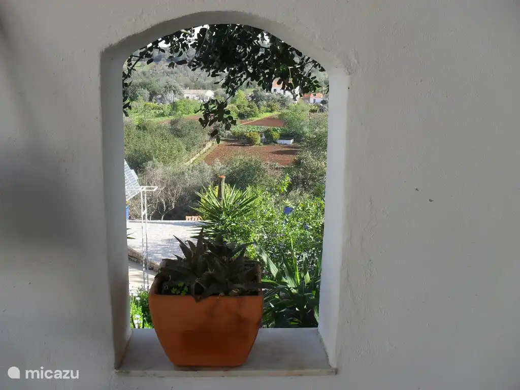 Vue jusqu'à la terrasse ensoleillée
