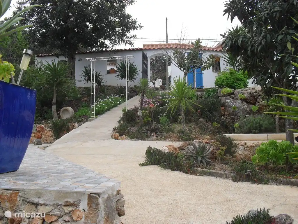 De la terrasse ensoleillée à la maison