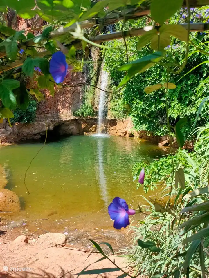 Cela vous rendra heureux (je le ferai)