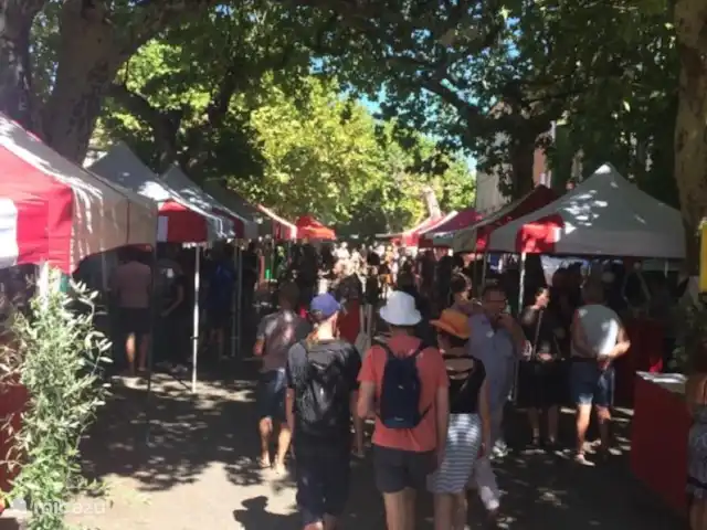 Wandelen, Frankrijk, Drôme, Mirabel-aux-Baronnies, vakantiehuis Les Saffres,  villa met zwembad jaarlijks wijnfeest in Mirabel