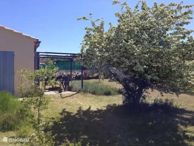 Wandelen, Frankrijk, Drôme, Mirabel-aux-Baronnies, vakantiehuis Les Saffres,  villa met zwembad  tuin achterzijde