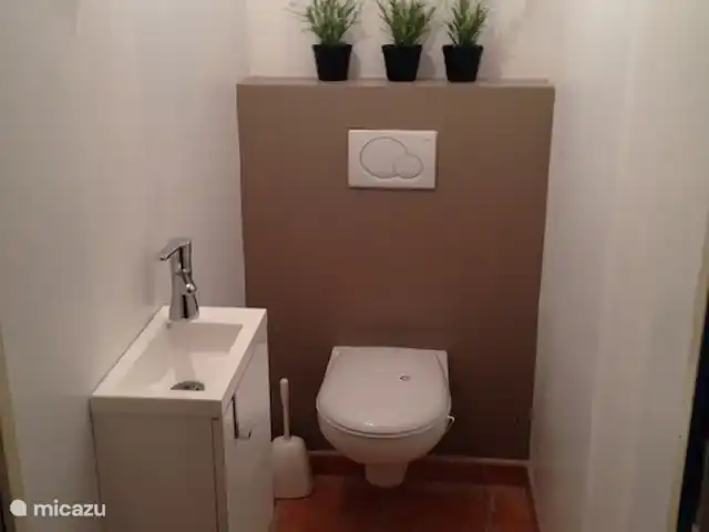 Wandelen, Frankrijk, Drôme, Mirabel-aux-Baronnies, vakantiehuis Les Saffres,  villa met zwembad toilet