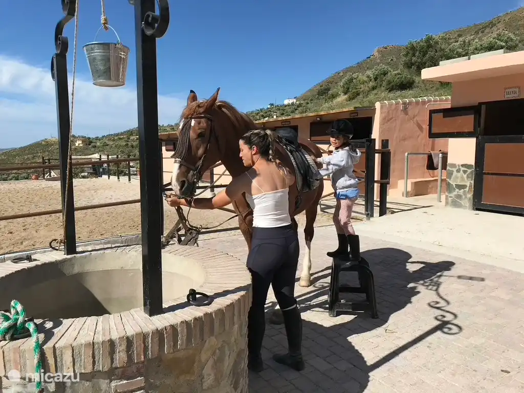 Reiten auf dem Hípica Molina. 