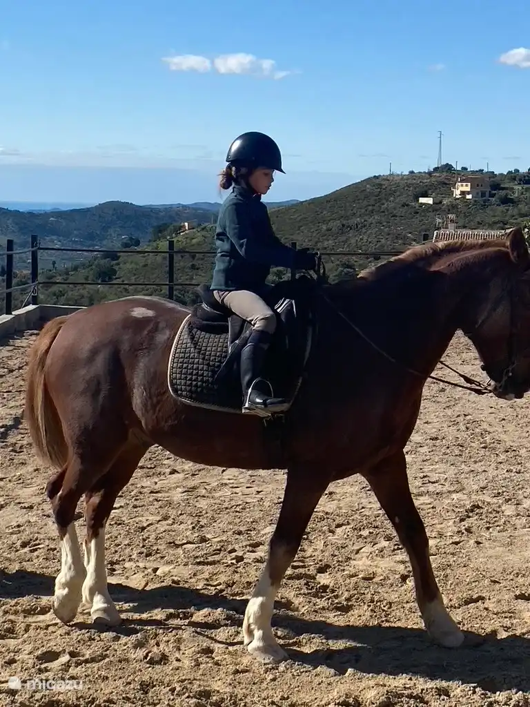 Reiten auf dem Hípica Molina.