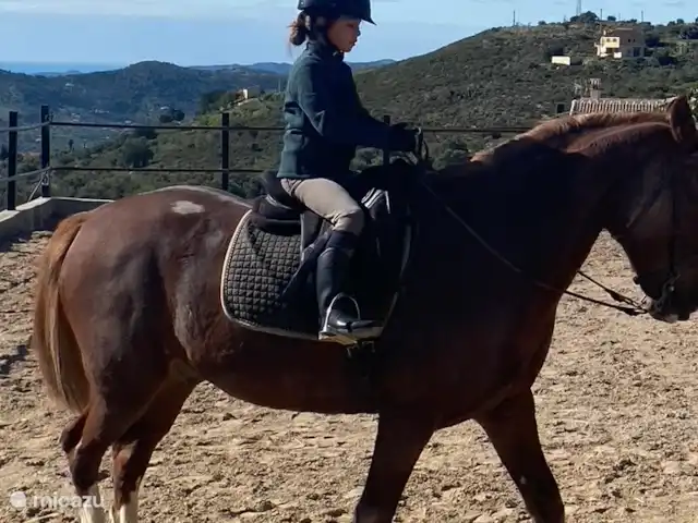 Casa La Roca - Retraites à Buena Vista | Espagne, Andalousie, Alcaucin - villa Balade à cheval à Hípica Molina.