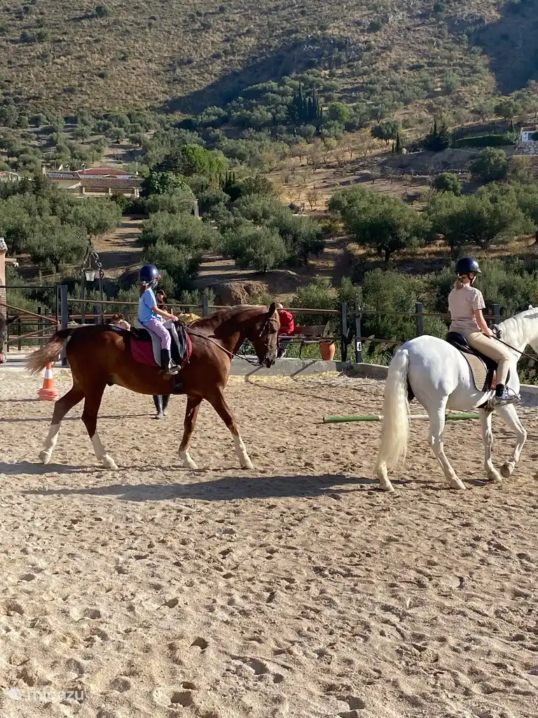 Reiten auf dem Hípica Molina.