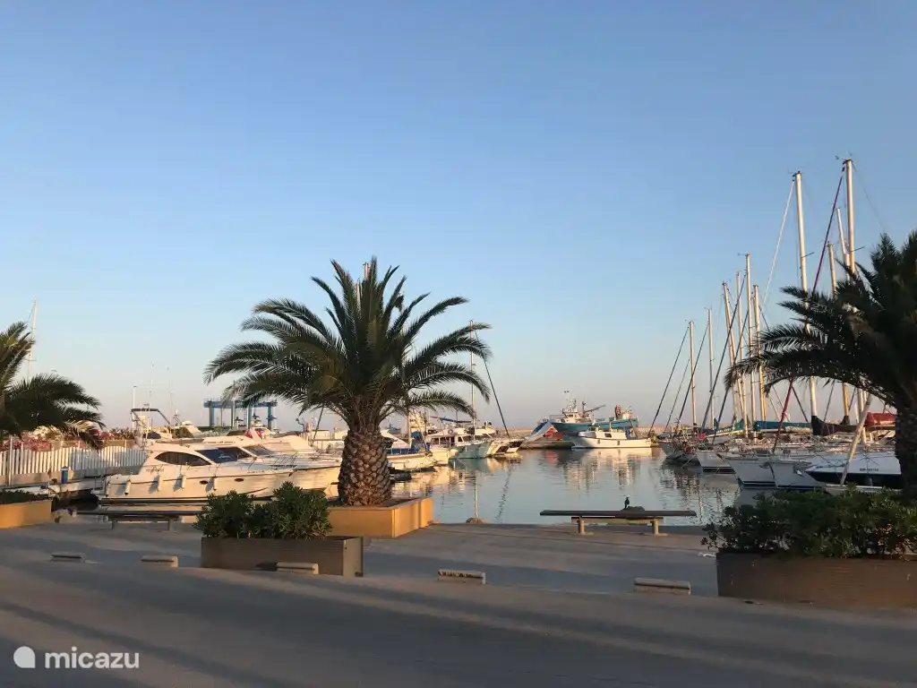 Hafen in Caleta de Veléz